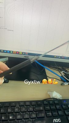 GYXTW blindé personnalisé 2 4 6 8 12 24 câble à fibre optique à mode unique 6 mm 7 mm 8 mm avec messager
