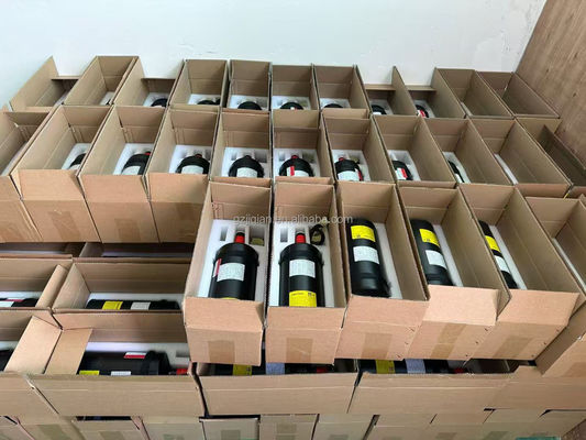 Modules aériens au sol pour la transmission d'images et de vidéos par drone anti-interférence