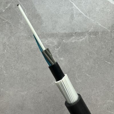 Câble à fibre optique blindé FRP GYFTY83 anti-rongeurs avec âme de renfort 12 24 48 cœurs