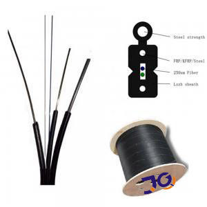 Câble d'interface optique de fibre de G652D G657A LSZH FTTH 1 noyau 2 4