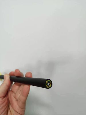 Doubles noyaux du câble optique 288 de fibre de la gaine ADSS pour la communication