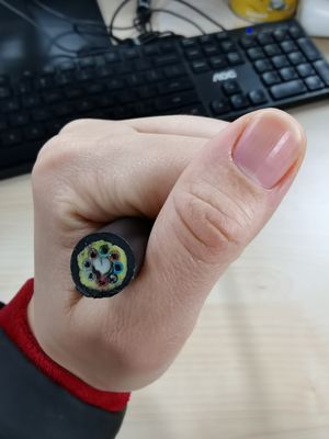 Doubles noyaux du câble optique 288 de fibre de la gaine ADSS pour la communication