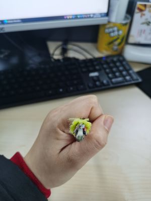 Câble de communication du noyau ADSS du mode unitaire 24, tout le câble optique diélectrique de fibre